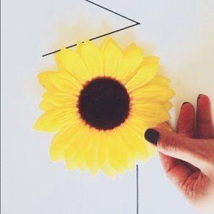 Meet your Posher, Evelin